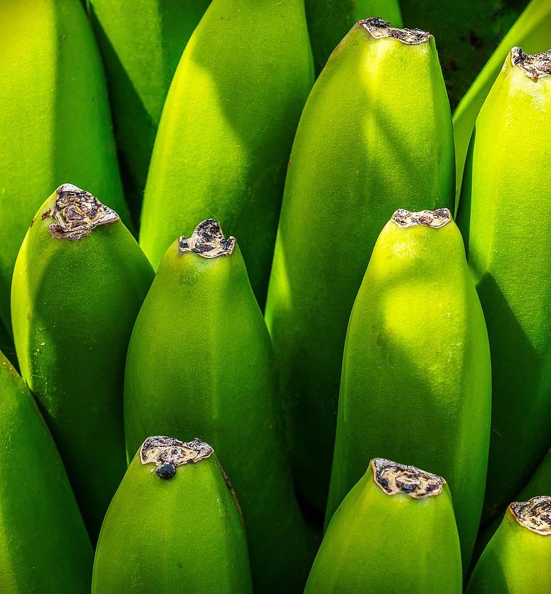 Green Banana (Matoke) - Per dozen image