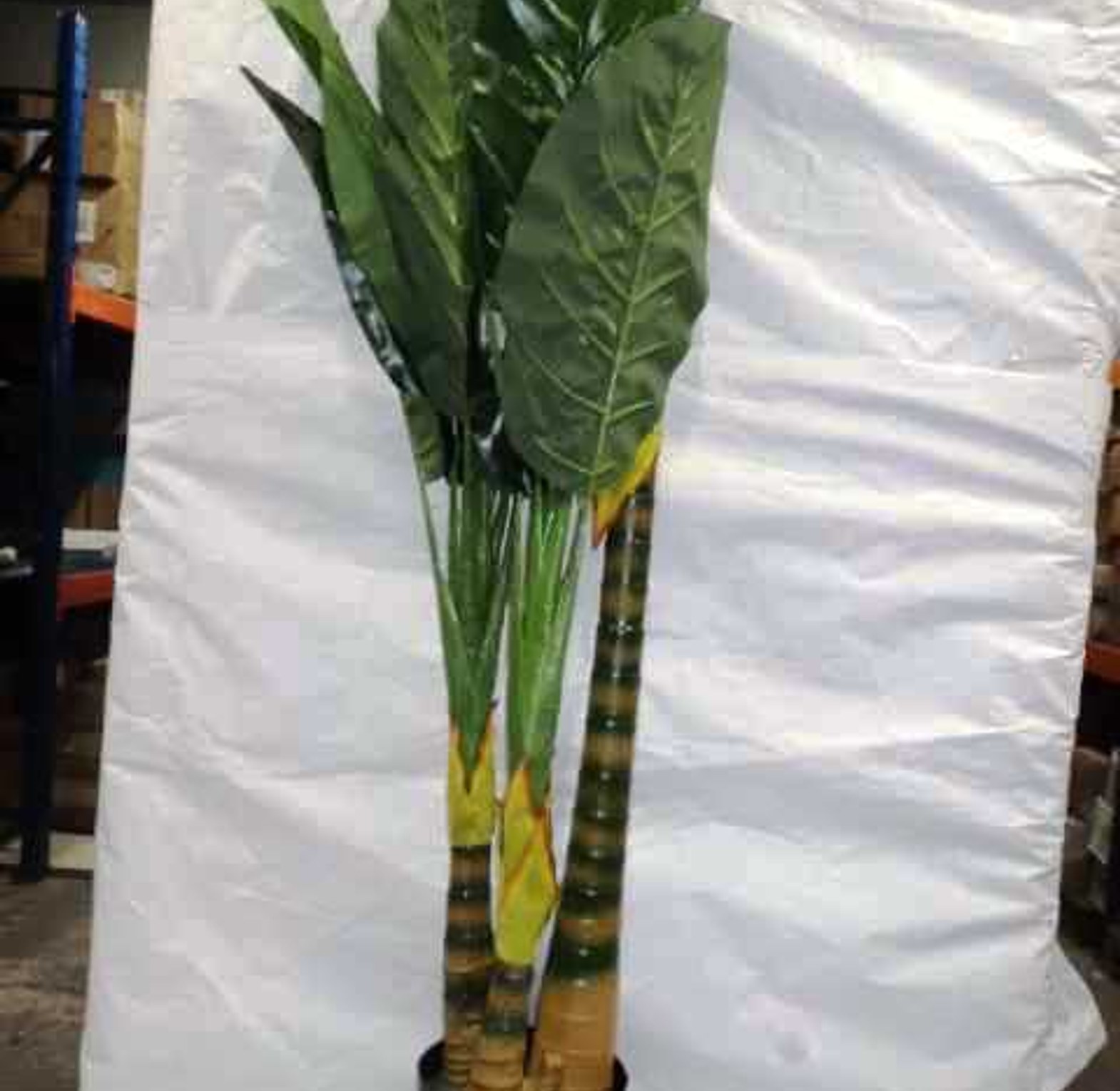 PLANT w POT
28 LEAF SAME  image