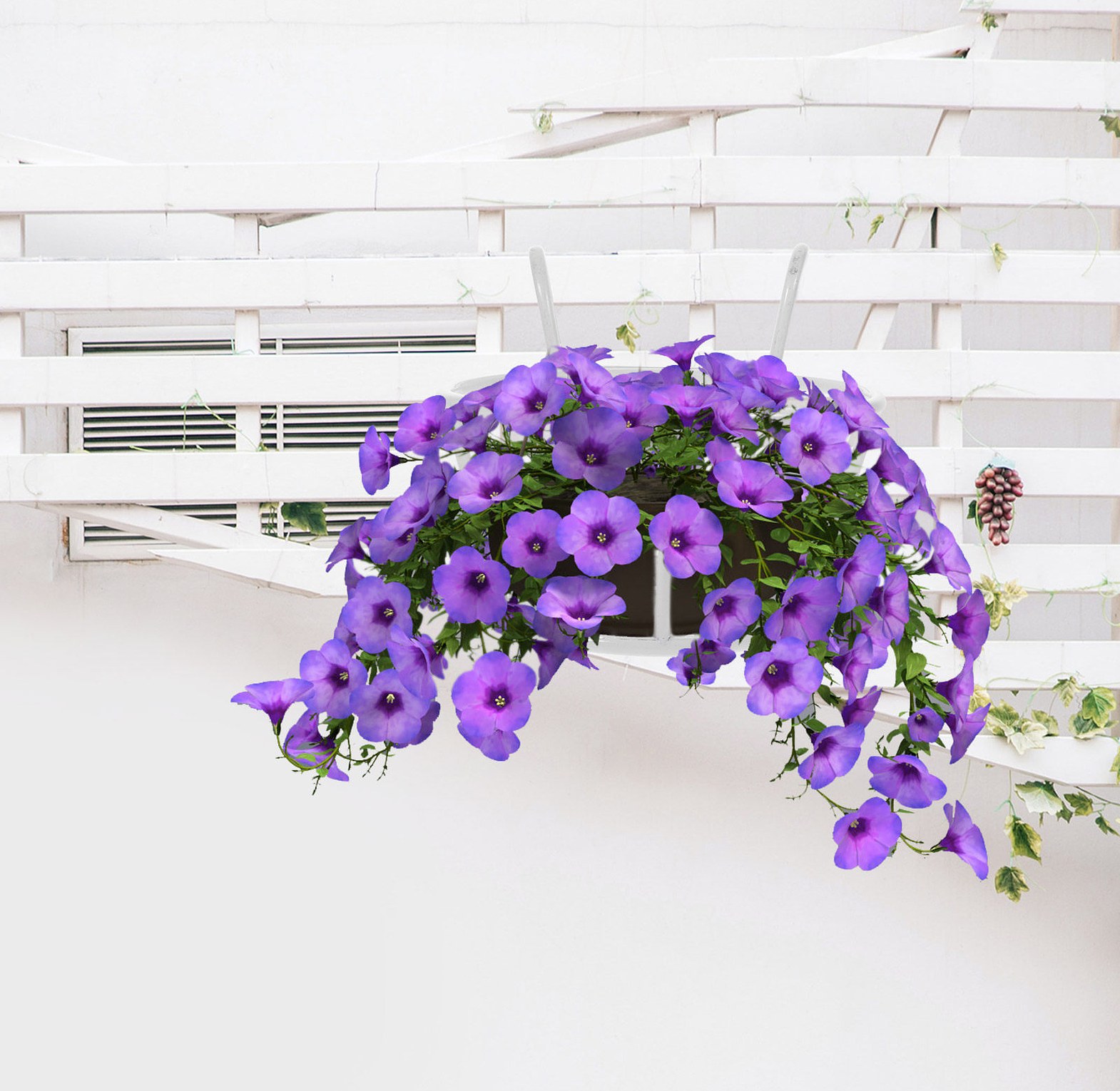 Hanging Balcony Plant Holder & Railing Flower Pot Stand for Urban Gardening Nairobi Kenya – Rust-Proof Metal Black image