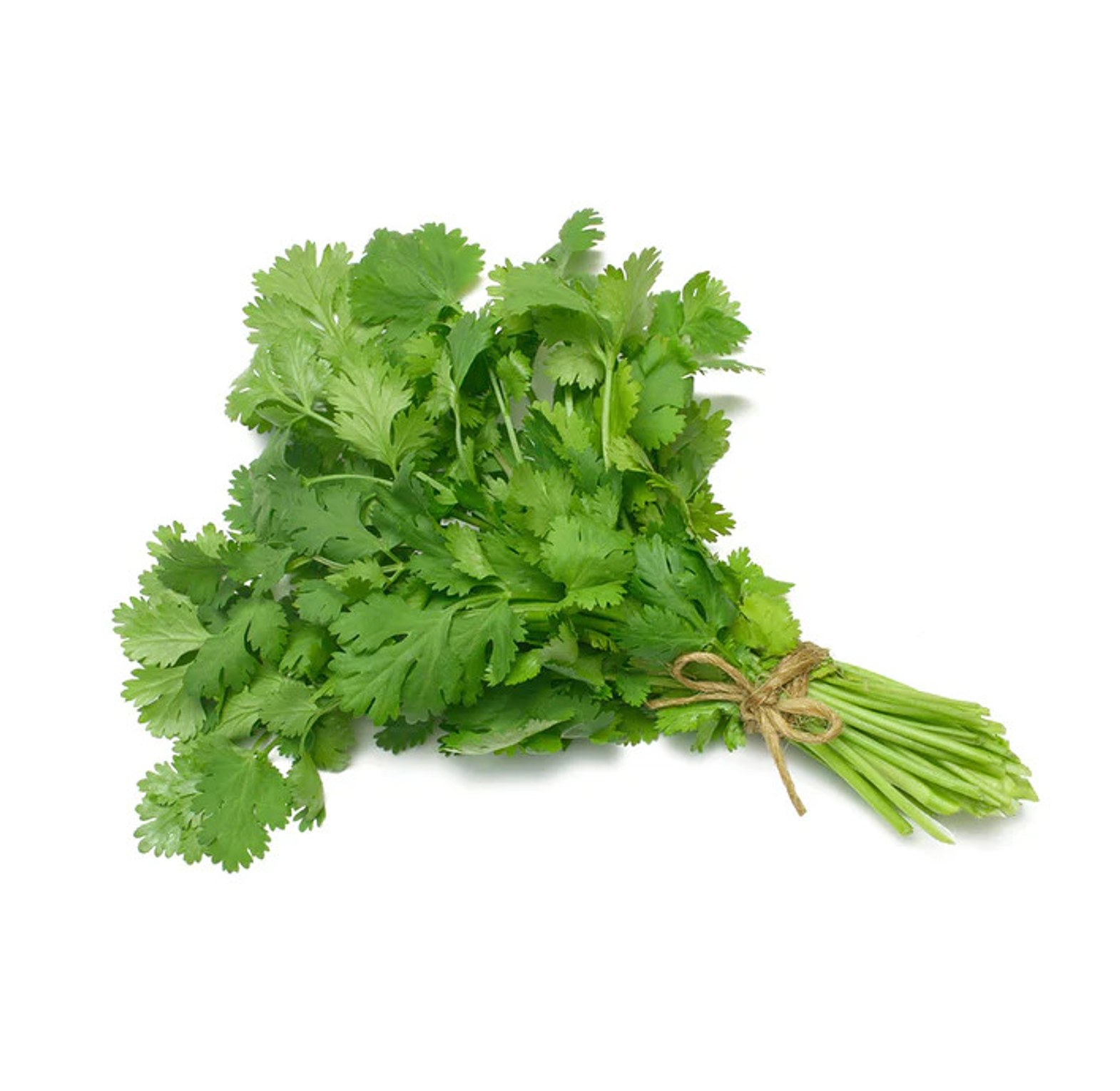 Dhania/Coriander Leaves (Cilantro) per Bunch image