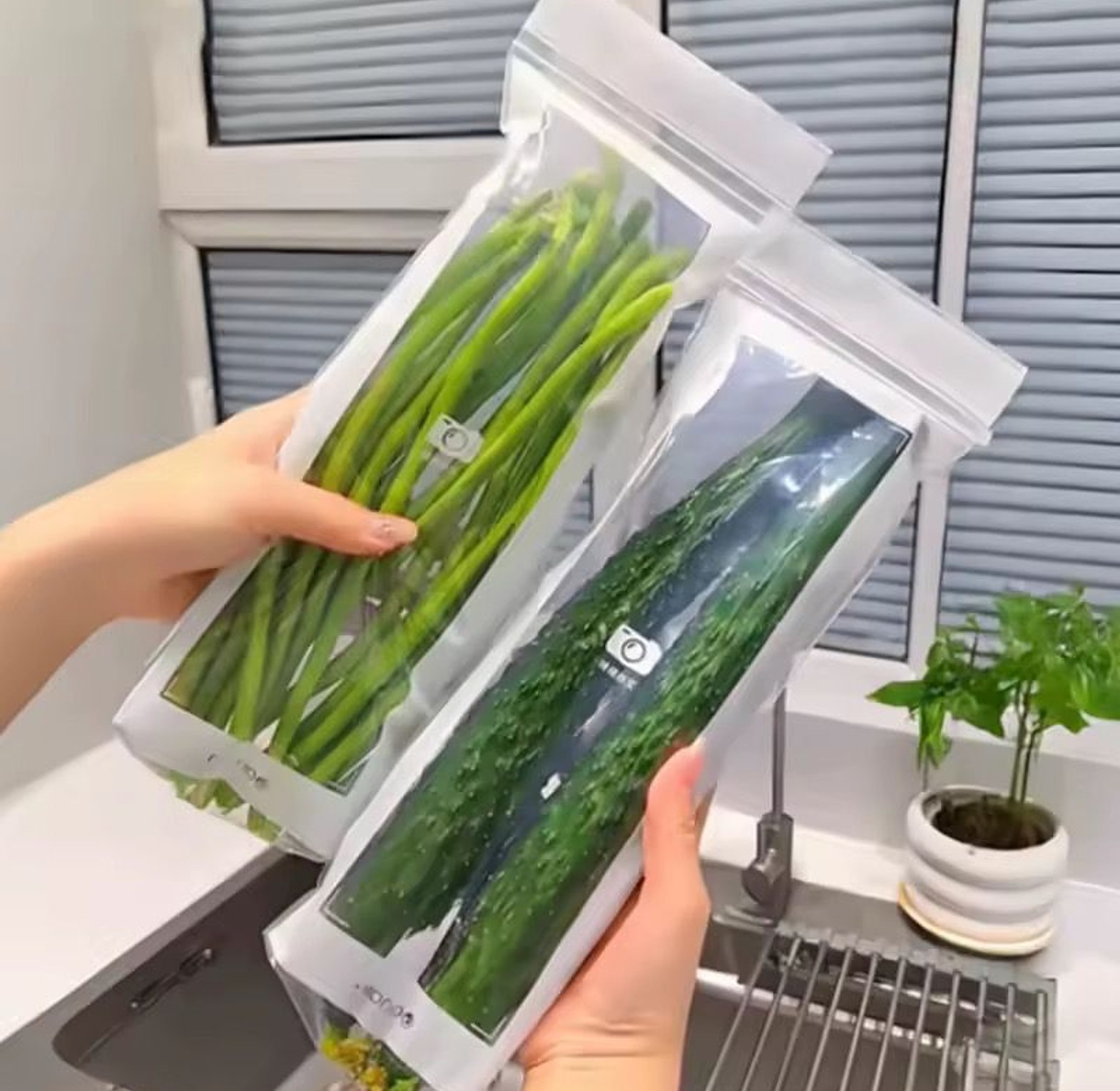 5-piece BPA-free food storage bag set image
