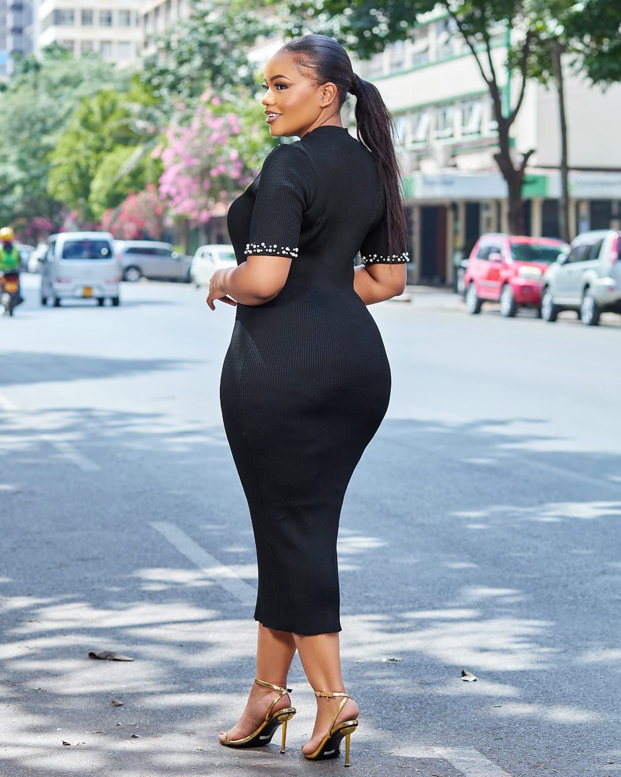 Premium Turkish Women’s Dress Suit image