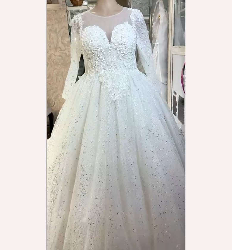 Radiant Starlight Plus-Size Wedding Gown - FOR HIRE image