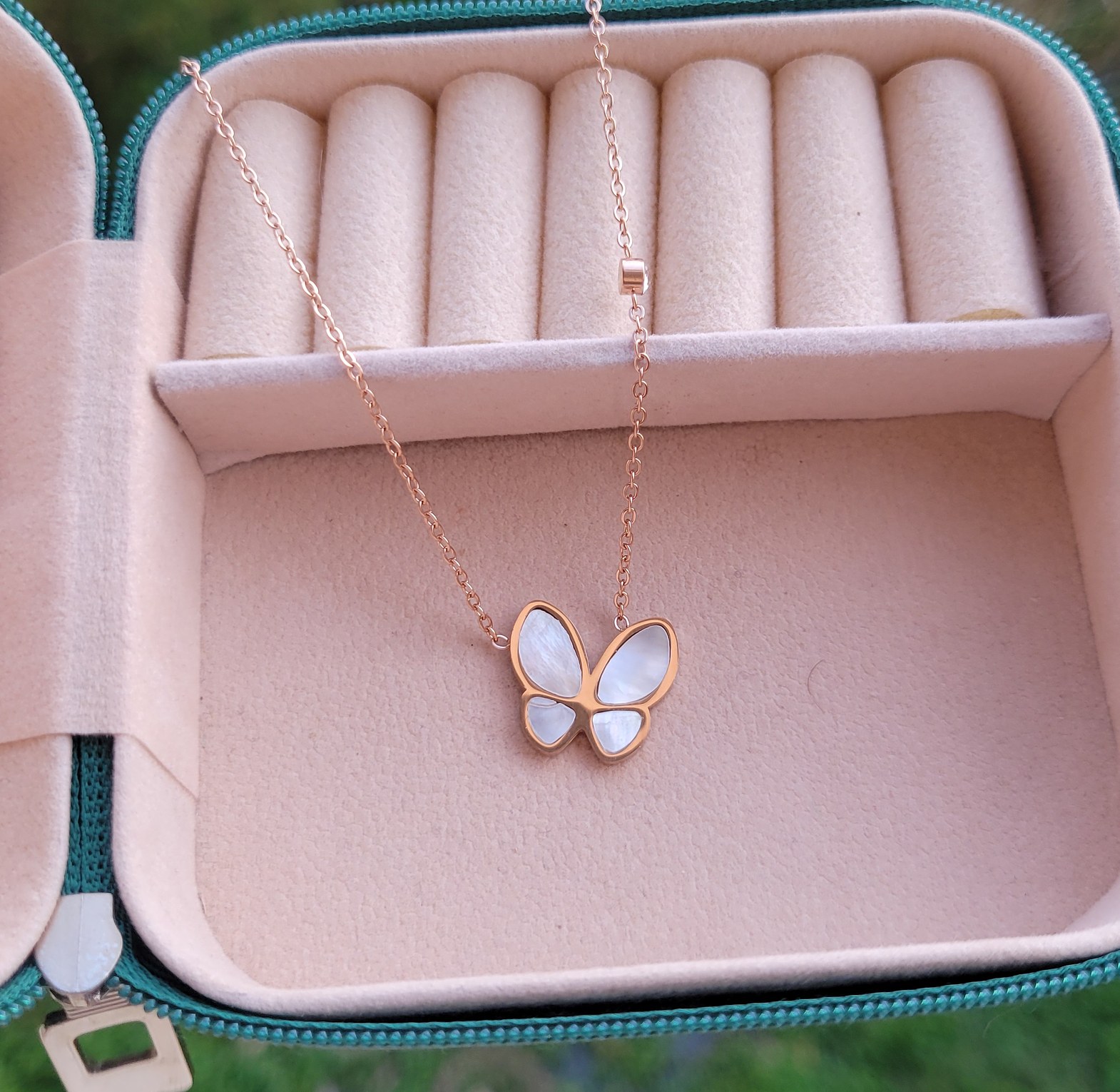White butterfly  image