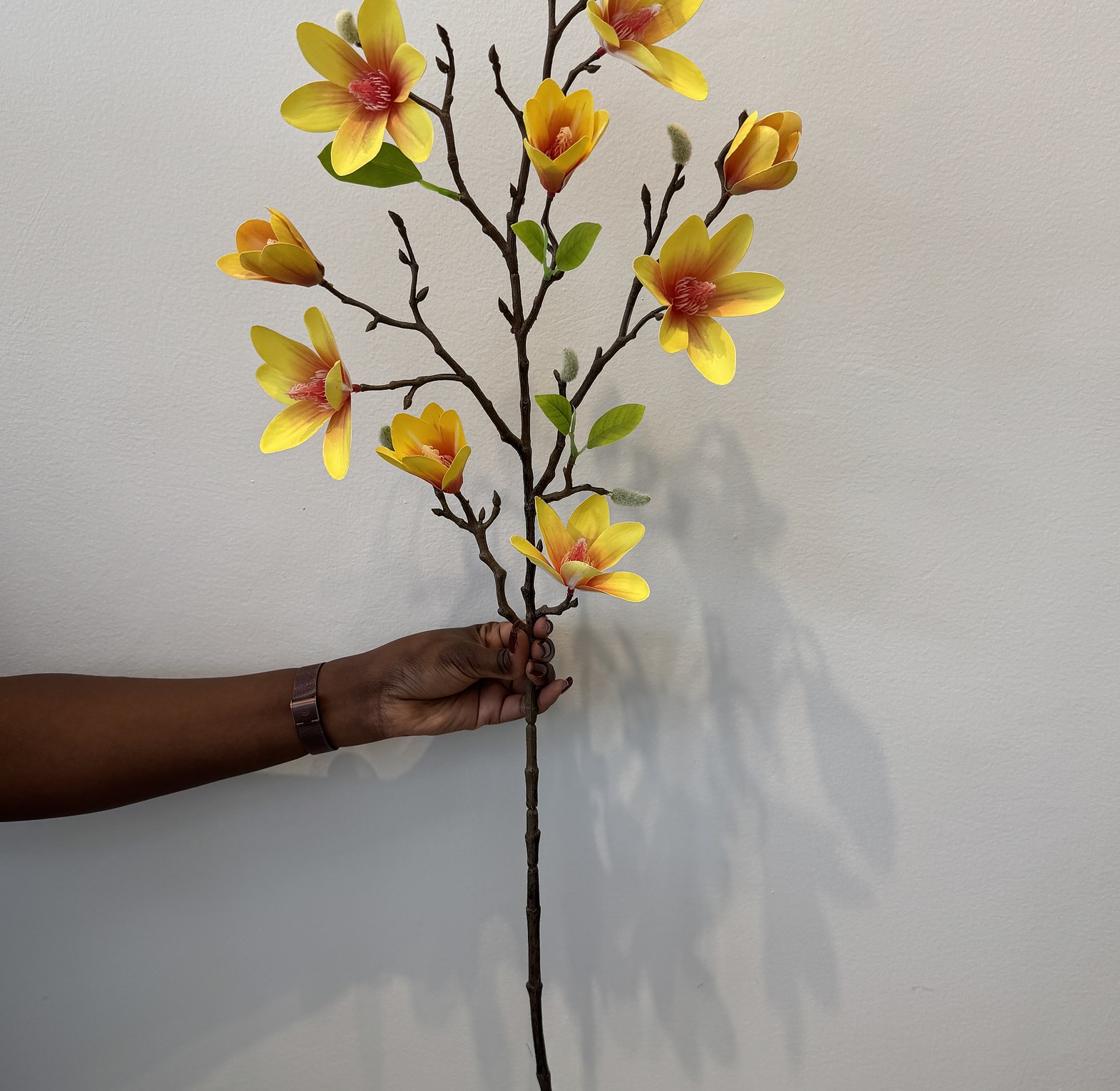 Faux blooming magnolia branches. image
