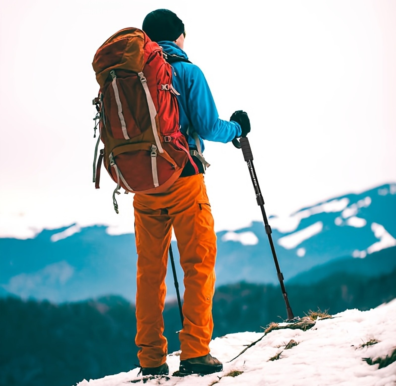 Anti-Shock Trekking Pole image