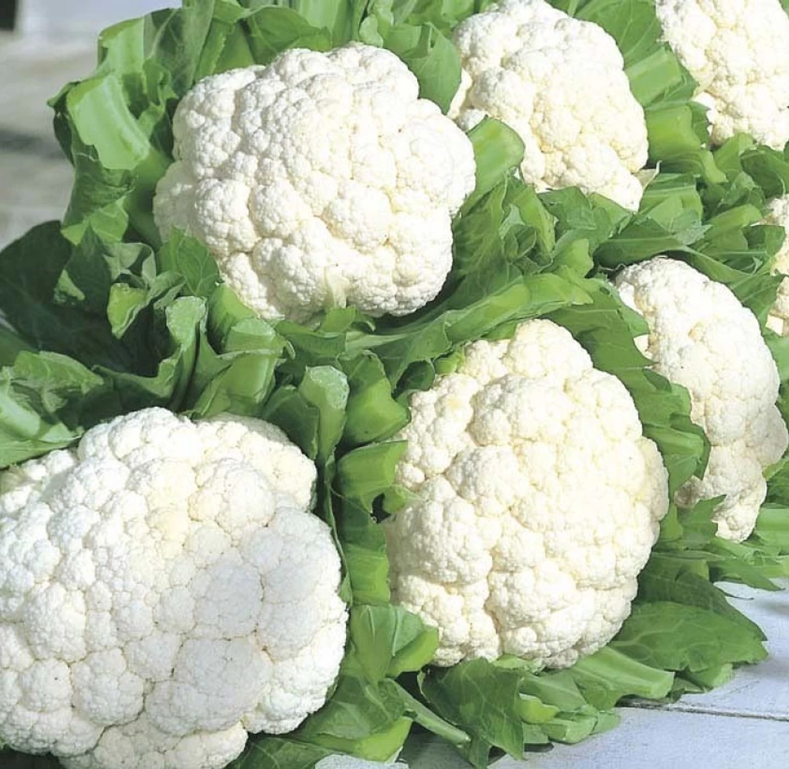 Cauliflower - Per kg image