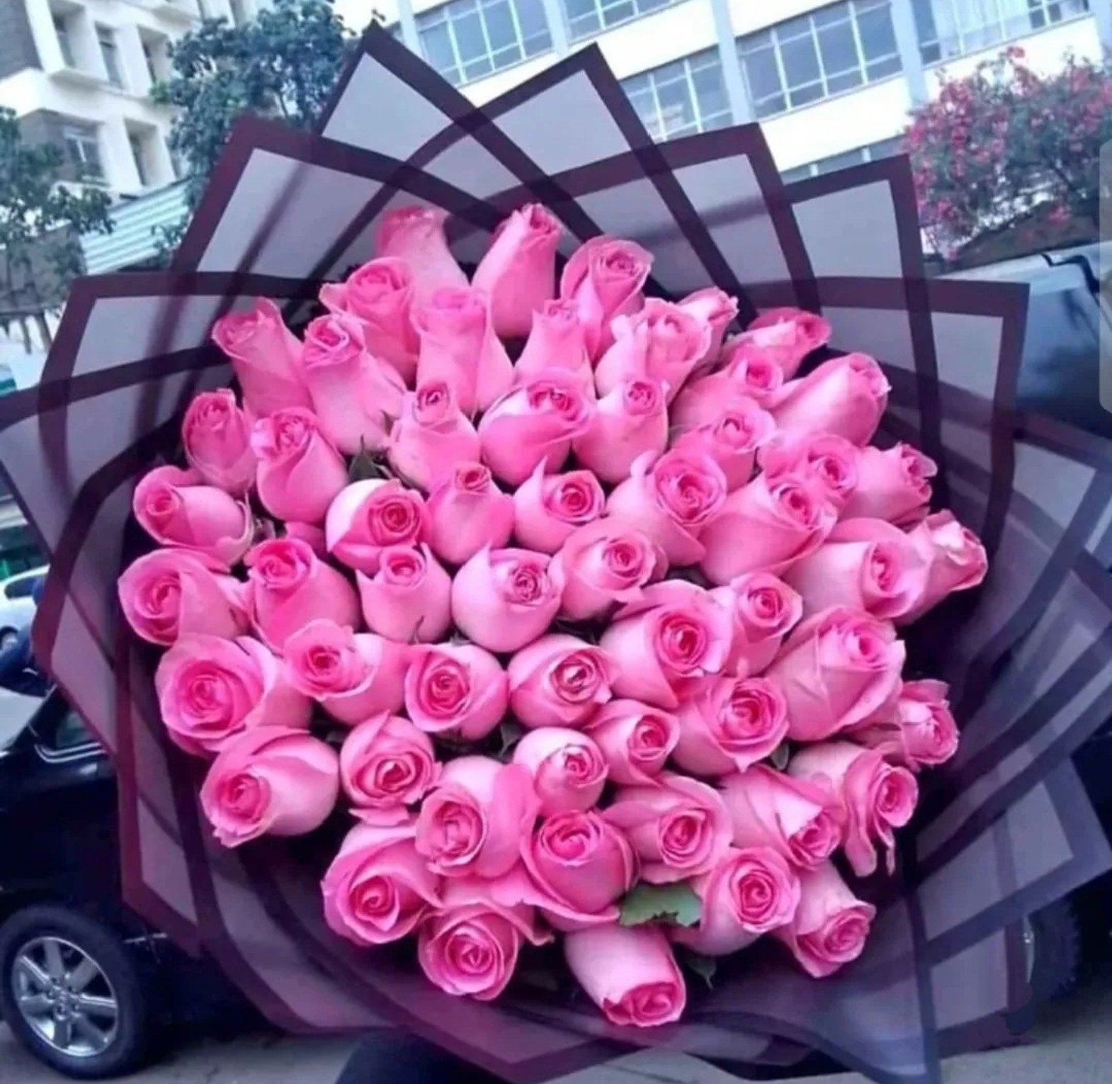 Pink Roses Bouquet  image