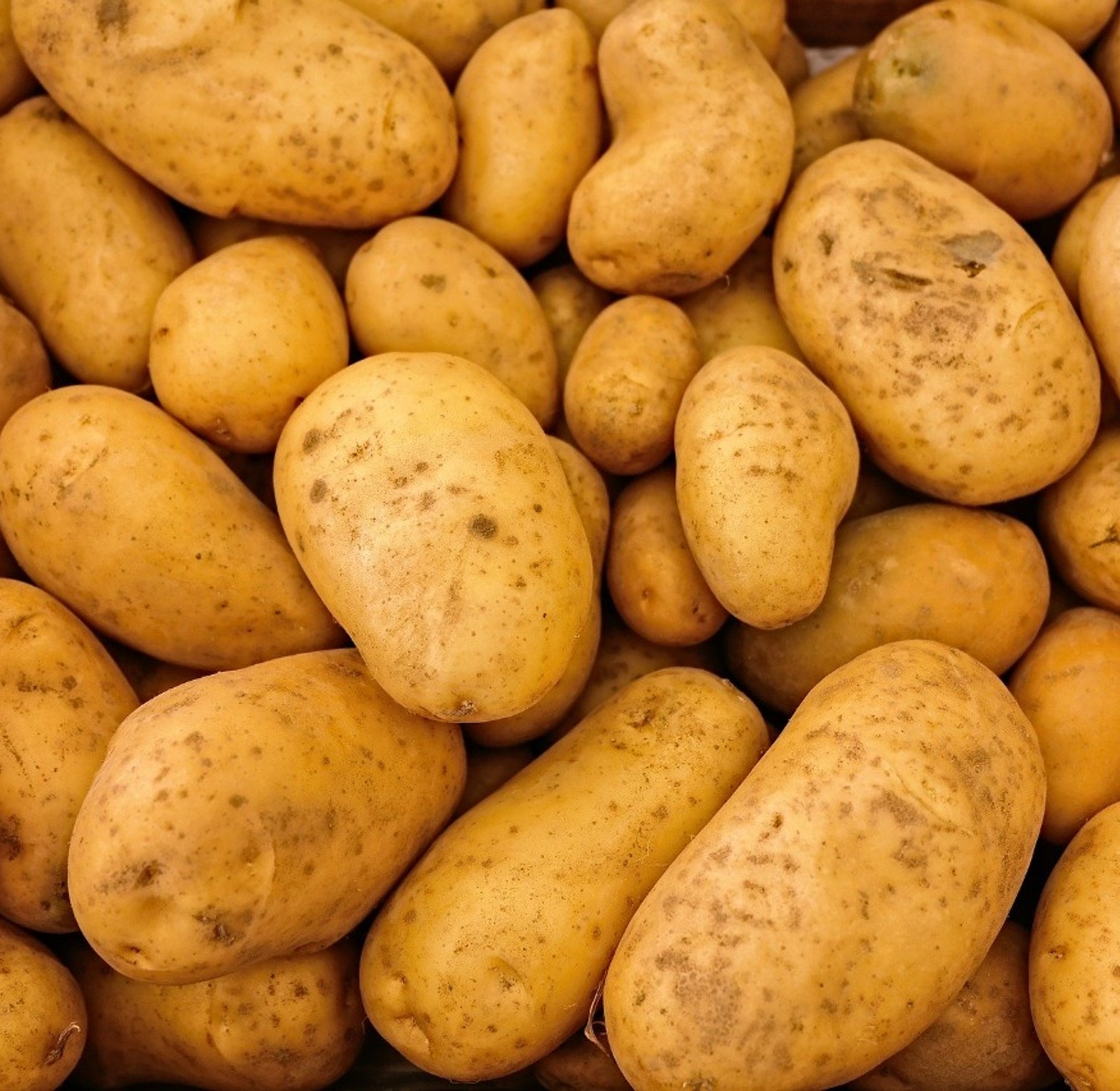 Potatoes / Waru - Per Kilogram  image