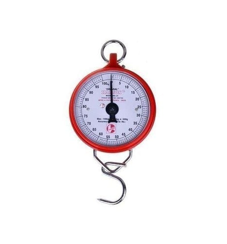 Hanson analogue hanging scale image