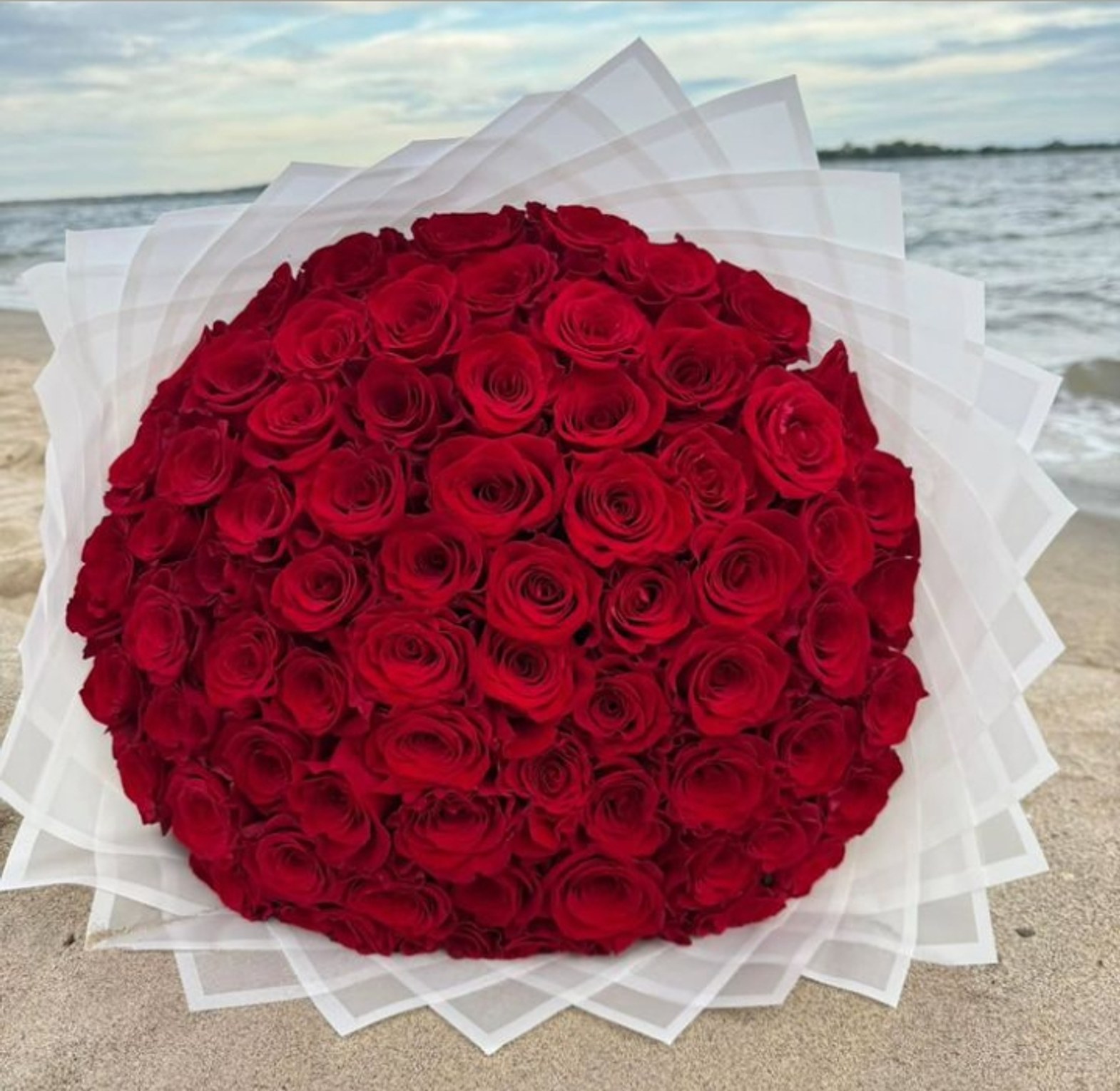 Premium red roses 75 stems image