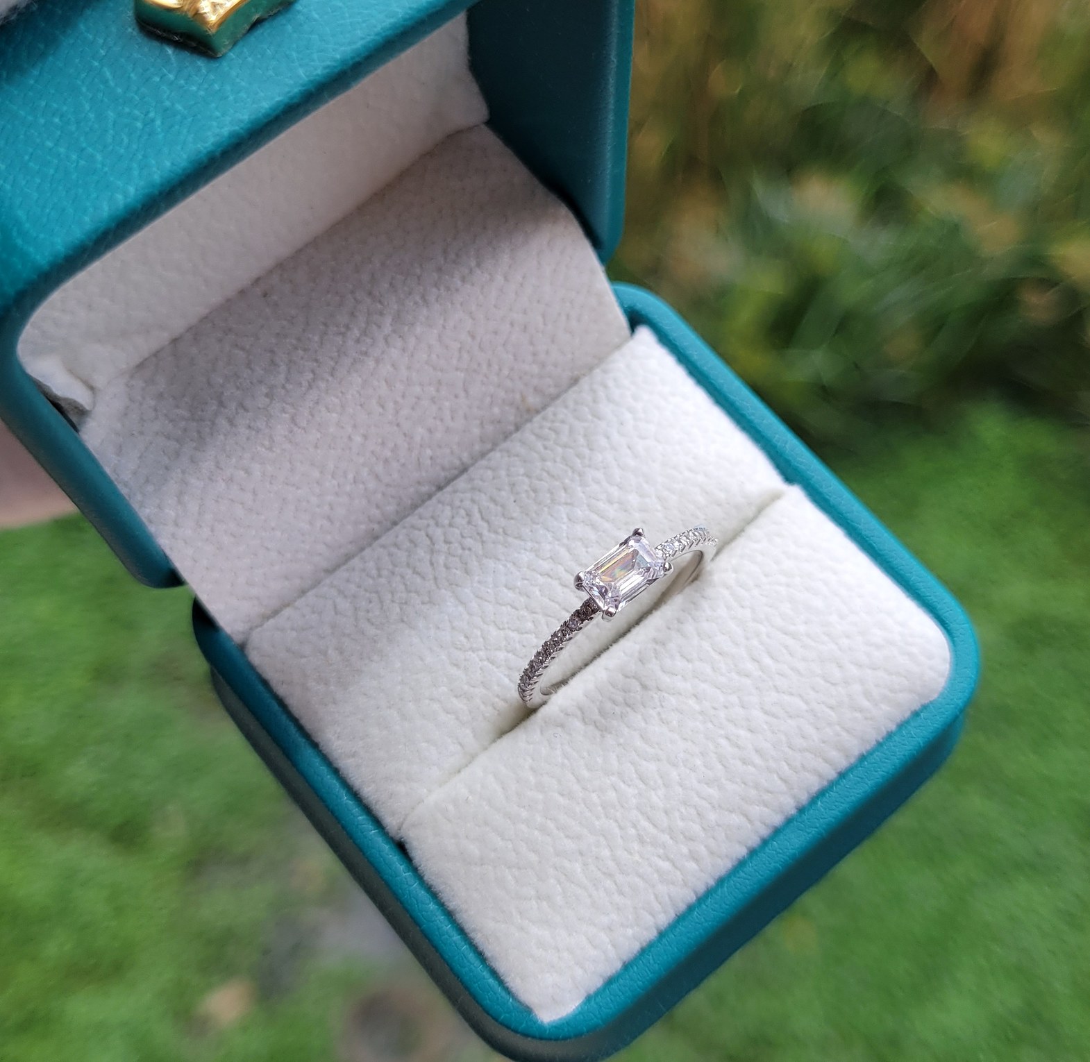 Promise ring  image