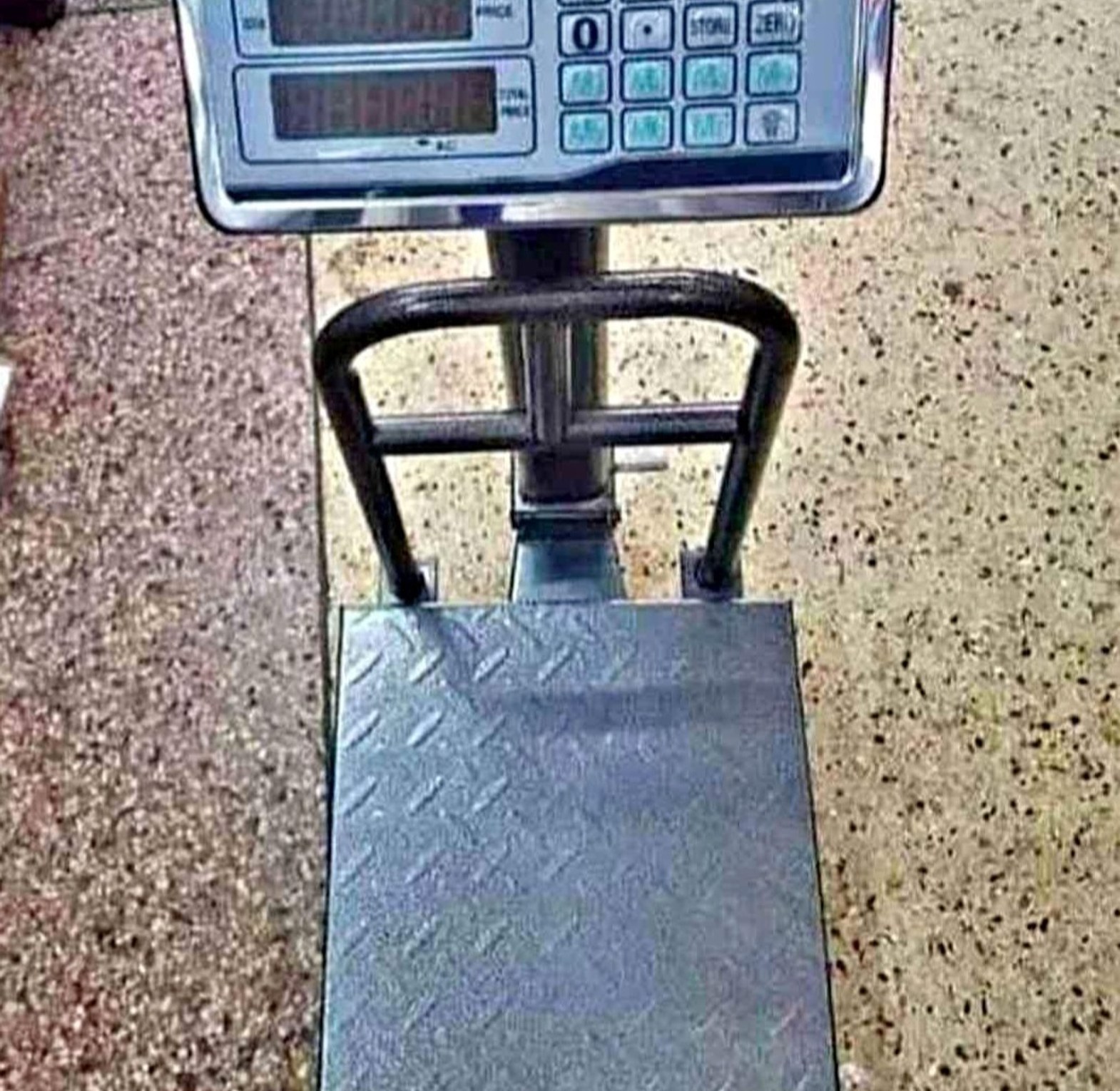 150kg scale tcs image