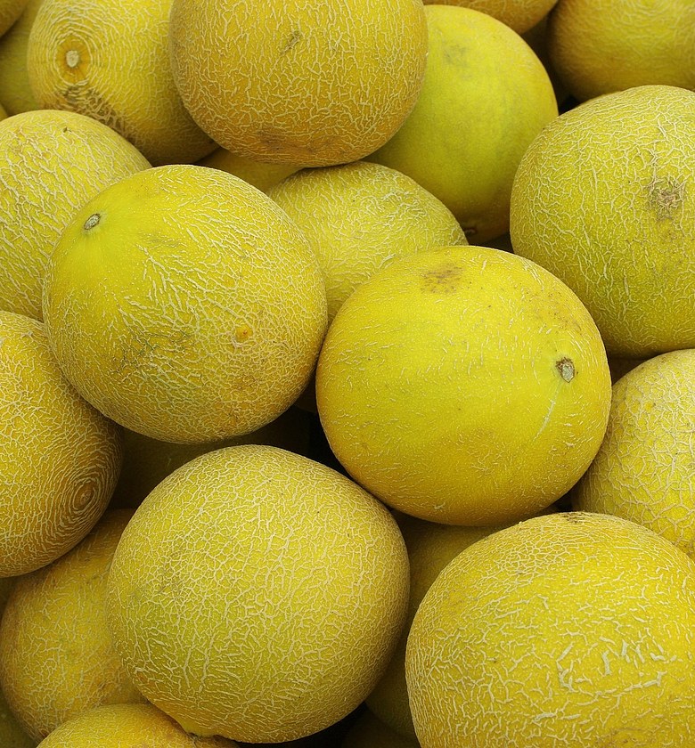 Honey dew Melon (Green)- Per Piece  image