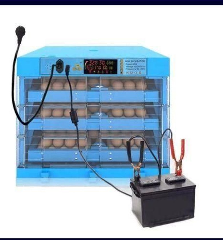 256 egg incubator image