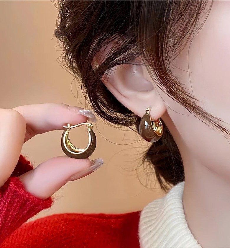 Brown mini hoop earrings  image
