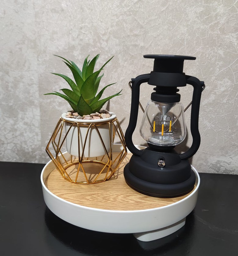 Tray Lamp with Succulent image