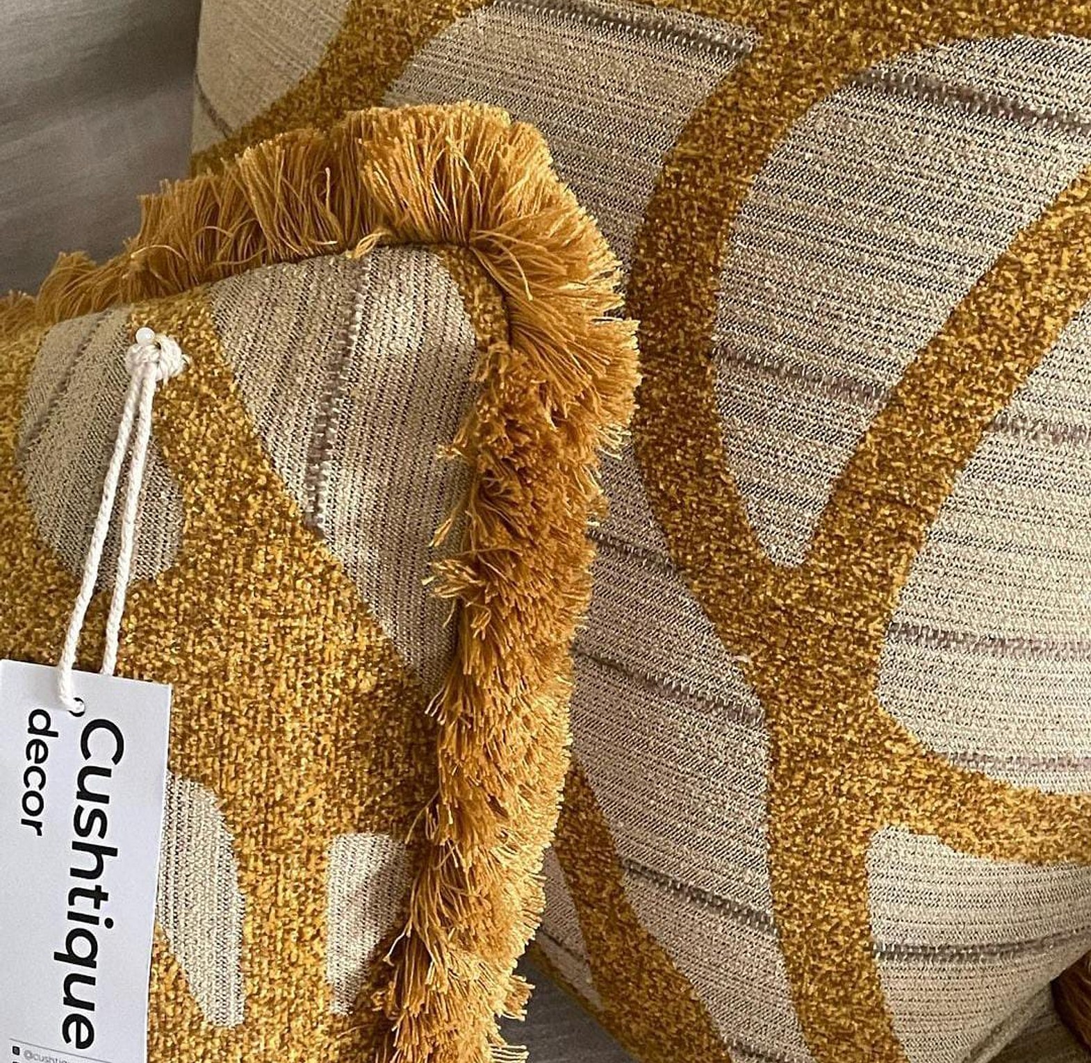 VINE CUSHION paired with brushed fringe trim image