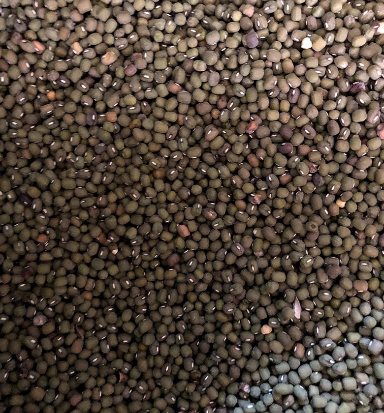 Ndengu / Green grams (Makueni) - A kilogram image