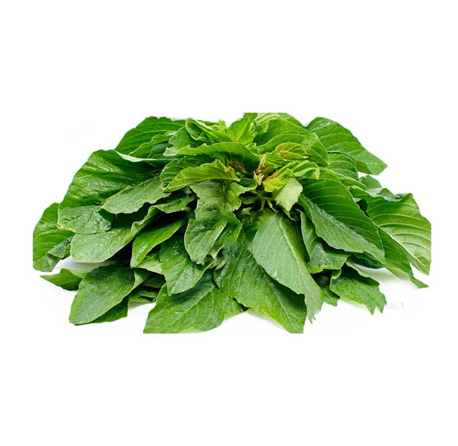 Terere / Amaranthus image