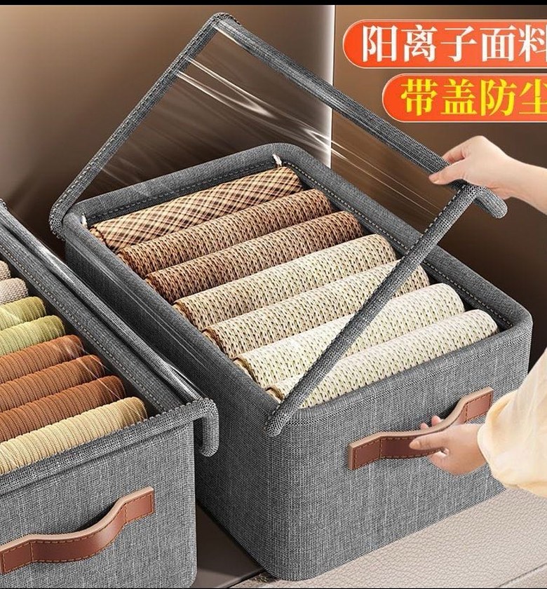 Collapsible Fabric Organizer with Cover image