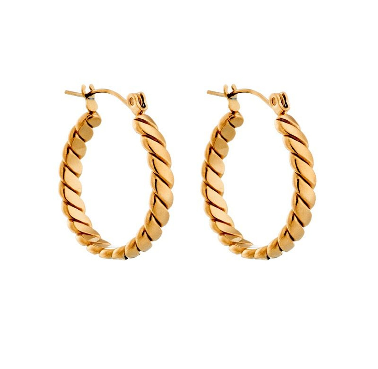 Twisted Hoop Earrings image