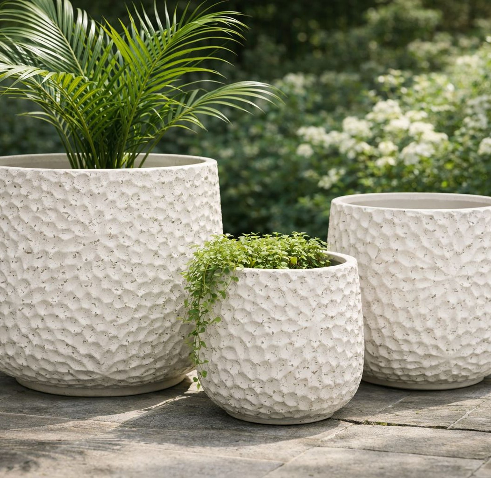 Medium ceramic pot image