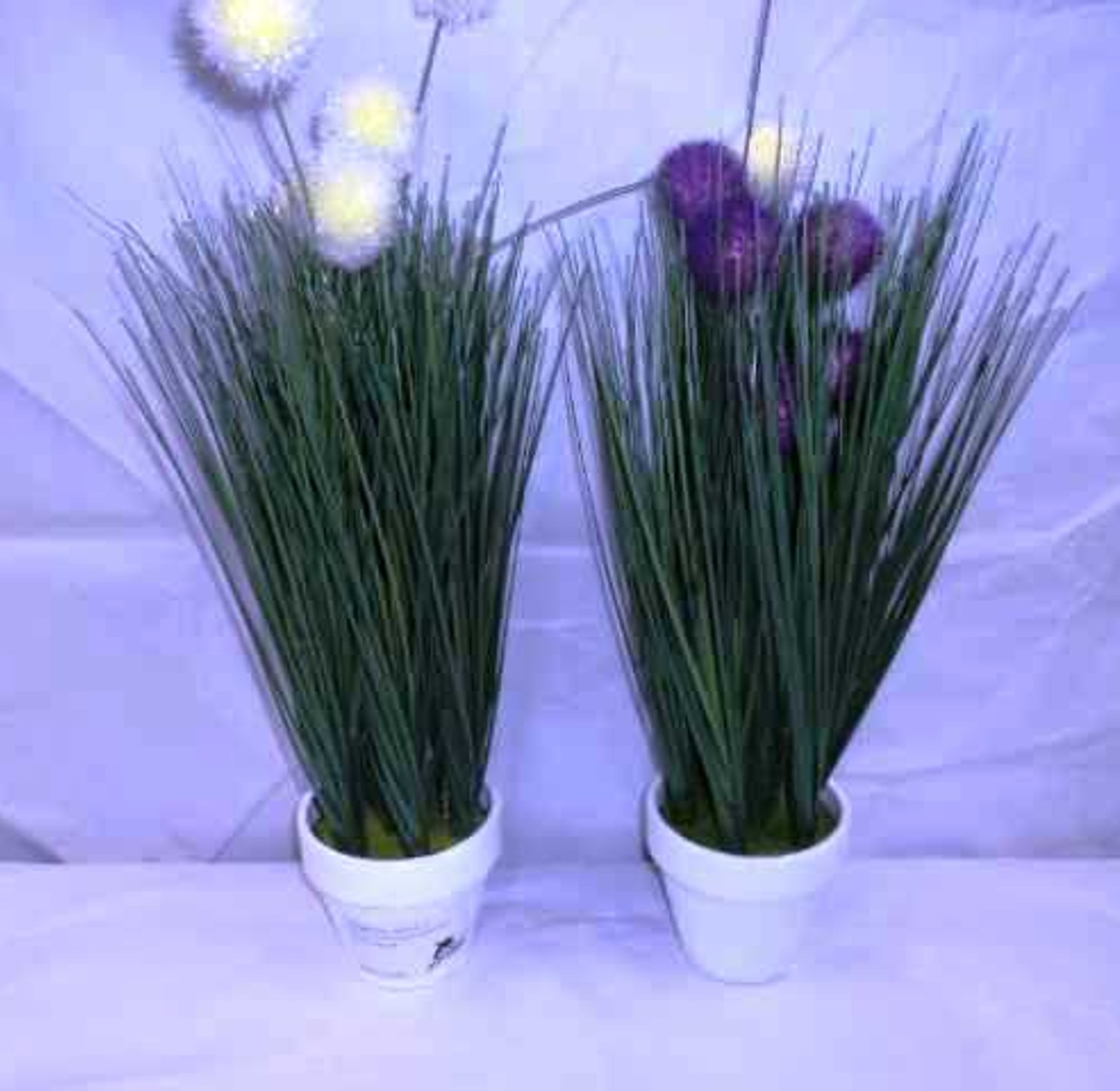 flower compositation purp image