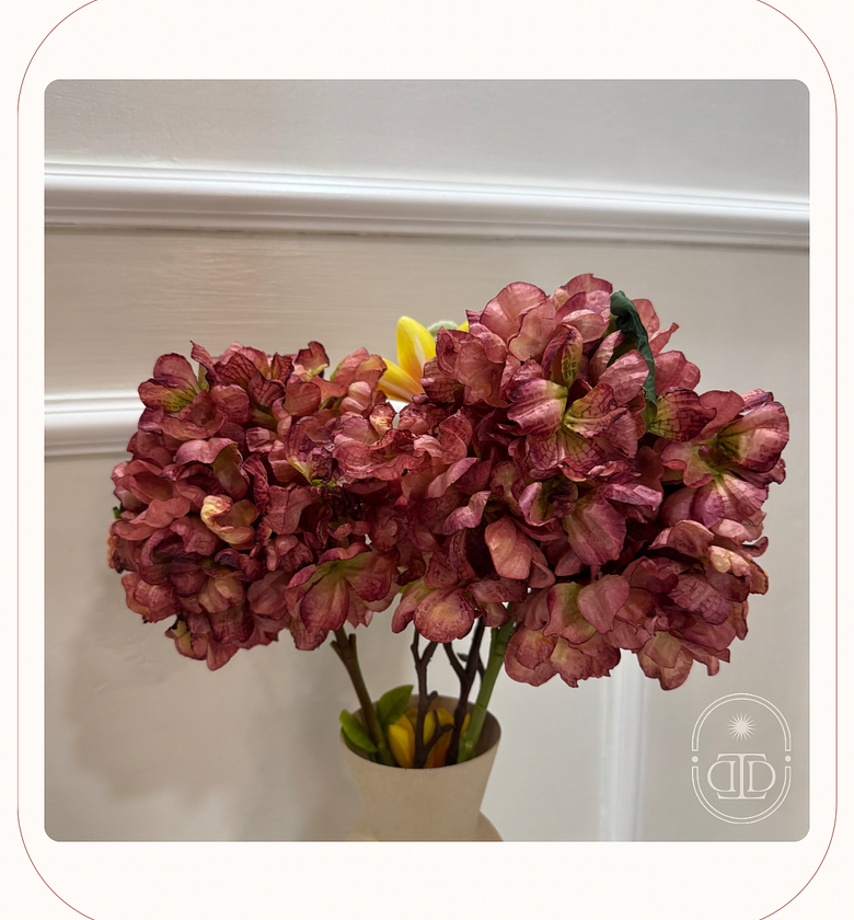 Preserved Hydrangea. image
