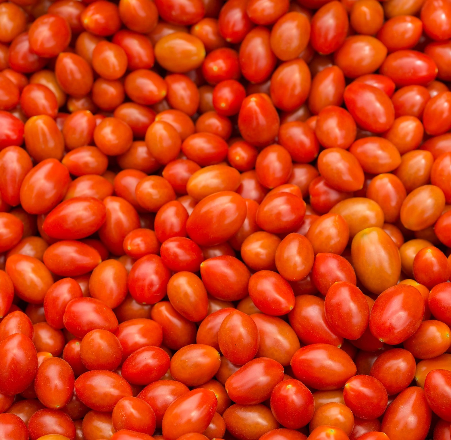 Tomatoes / Nyanya -Per Kilogram  image