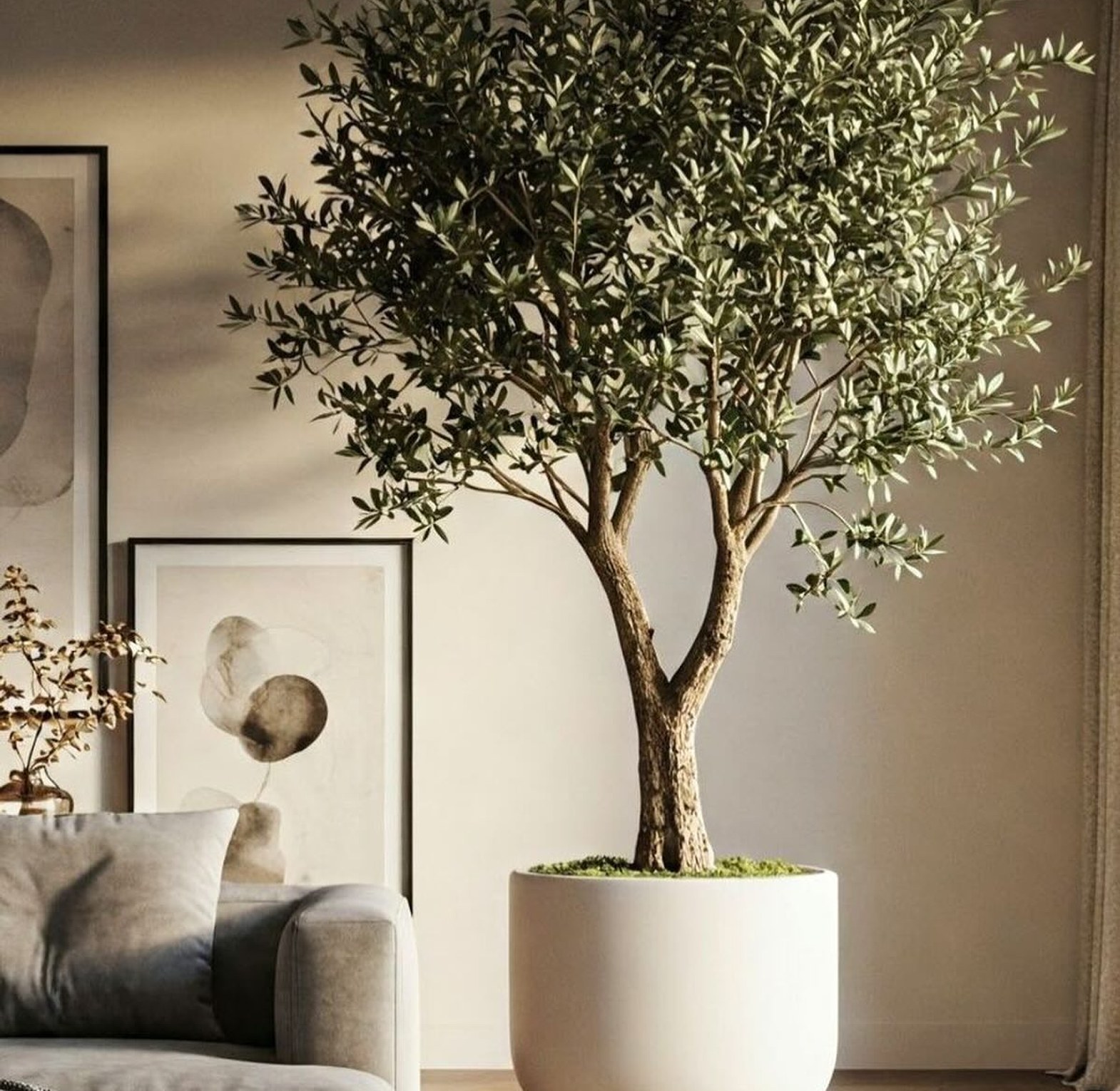 High quality real touch olive plants with fruits image