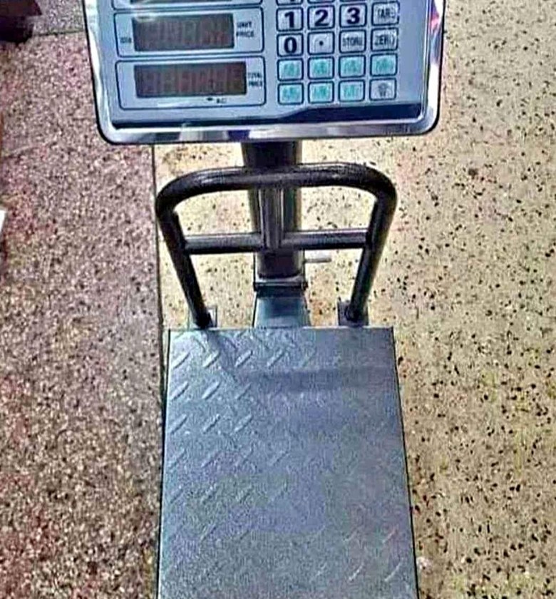 150kg scale tcs image
