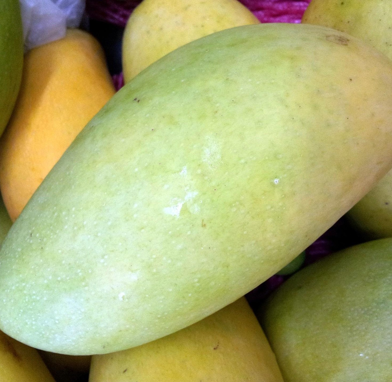 Apple Mango-Per Piece  image