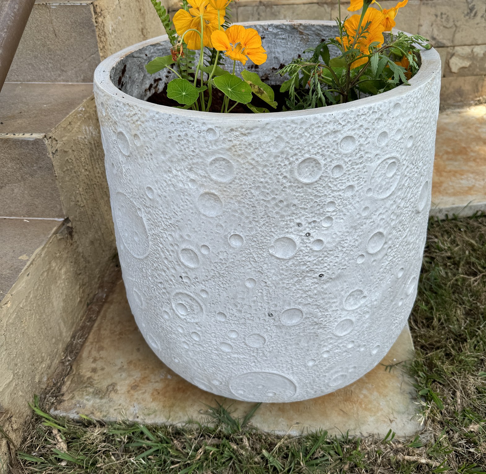 Malkia pot planter. image