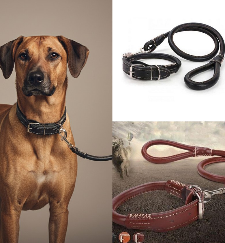 Leather Dog Collar and Leash image