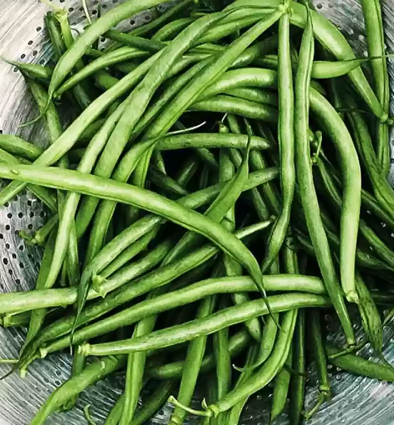 French Beans / Mishiri - 1Kg image
