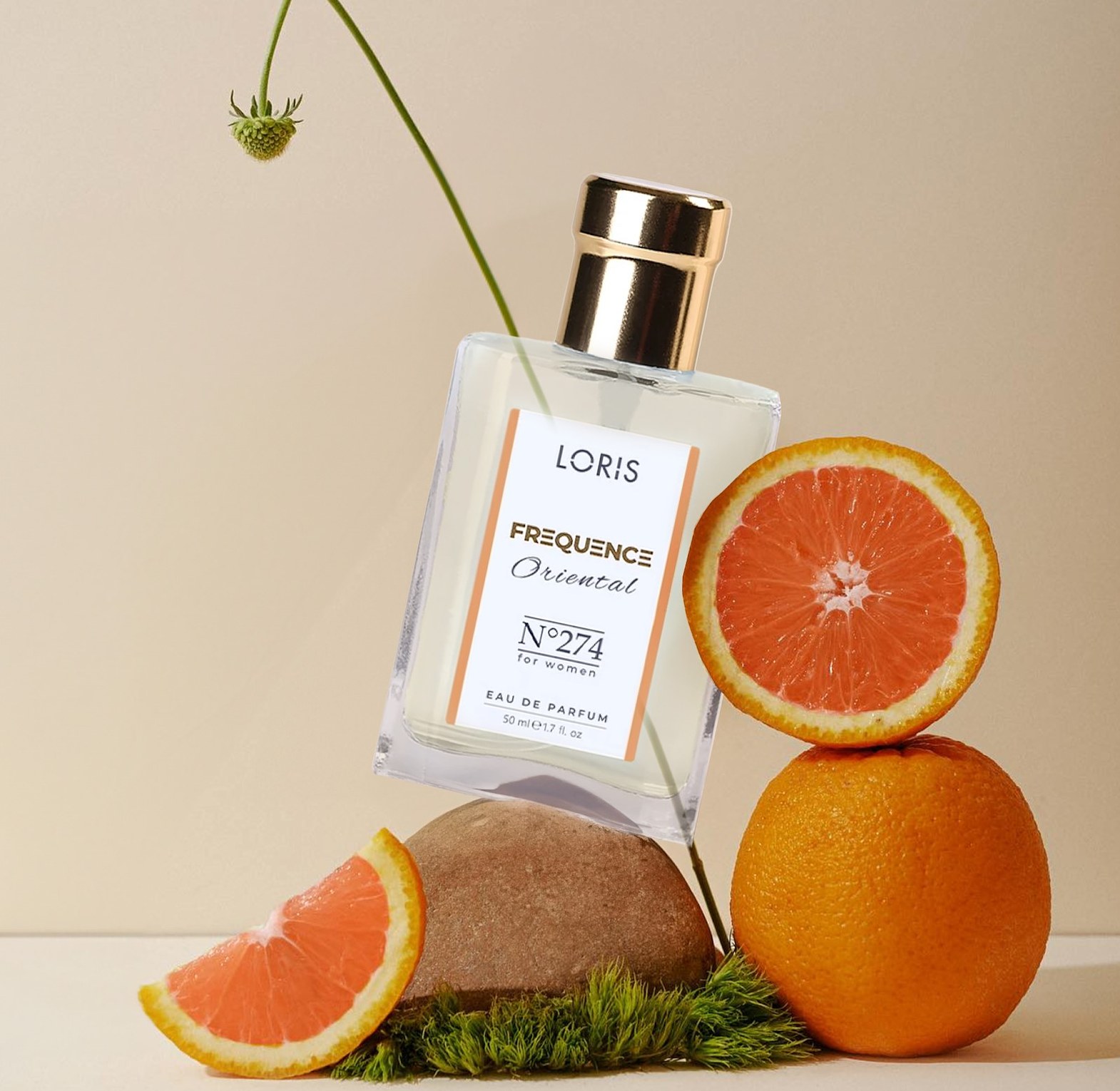 Loris No 274 Frequence ( Libre YSL ) image
