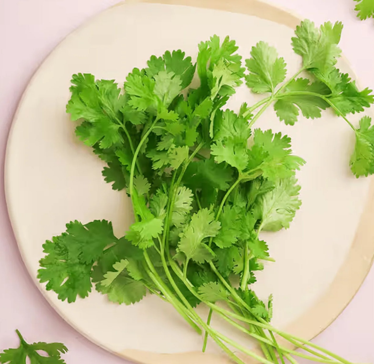 Fresh Coriander (Dhania) – Per Branch image