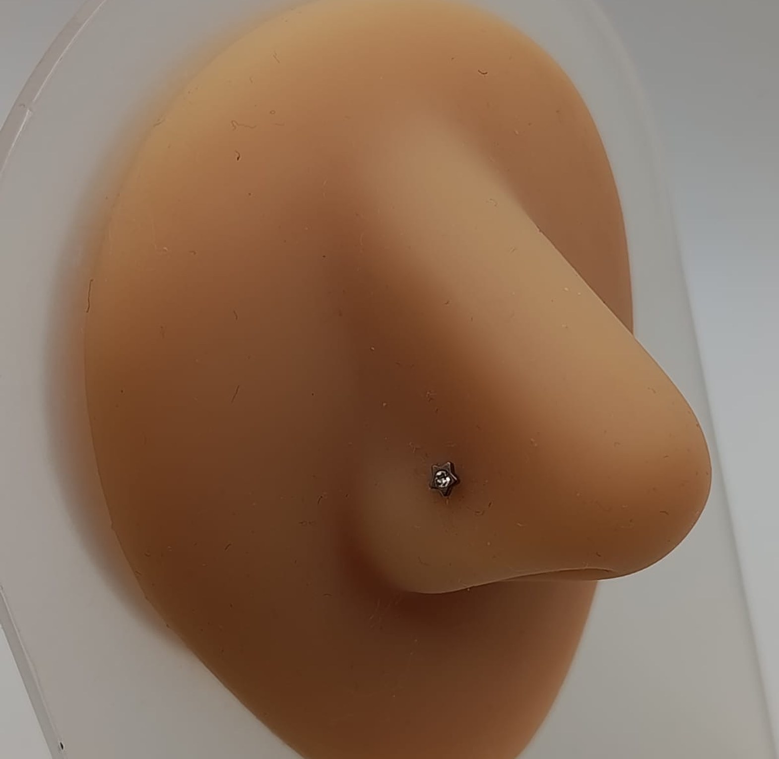 Nose Pins /Studs image