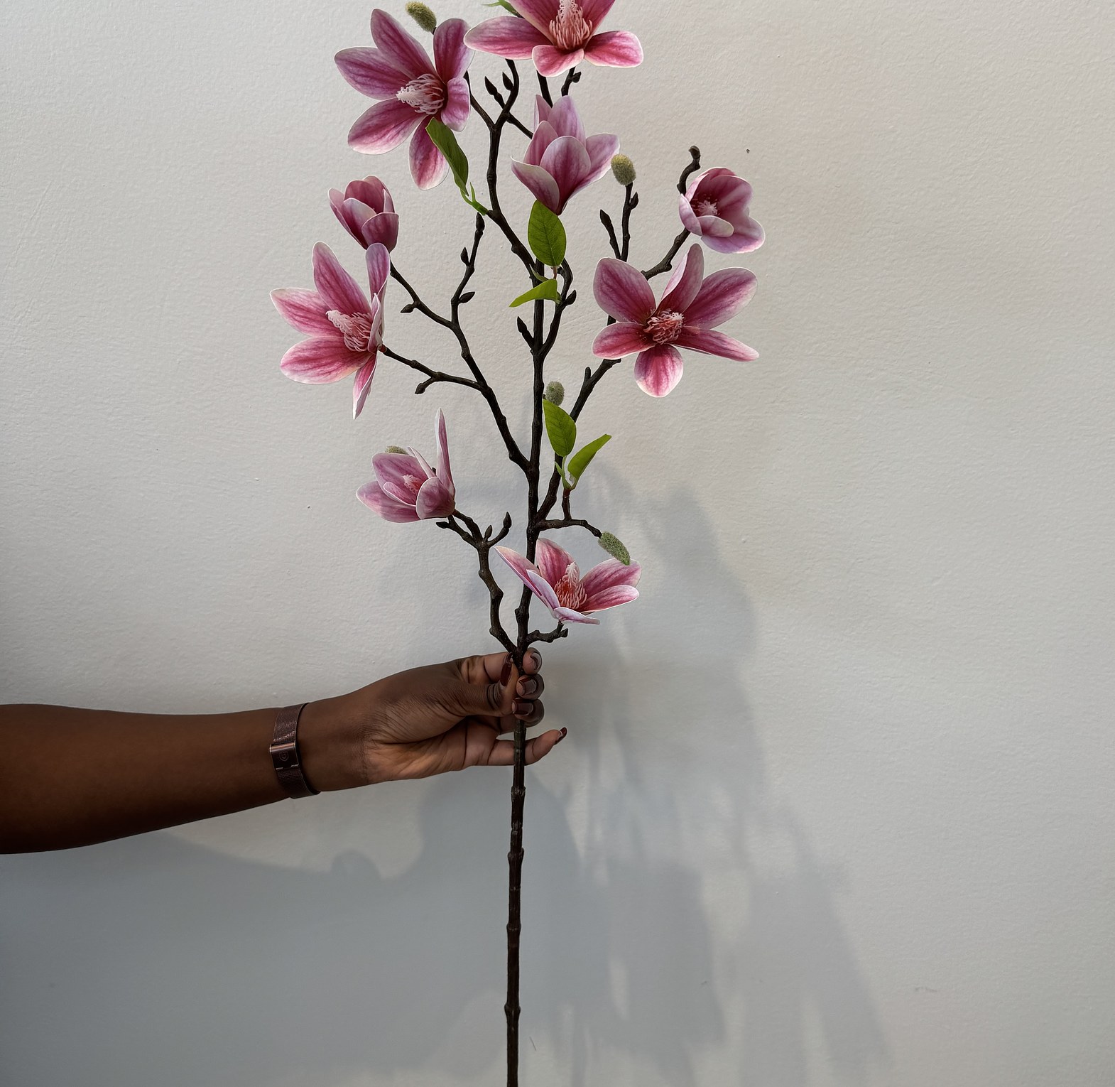 Faux blooming magnolia branches. image