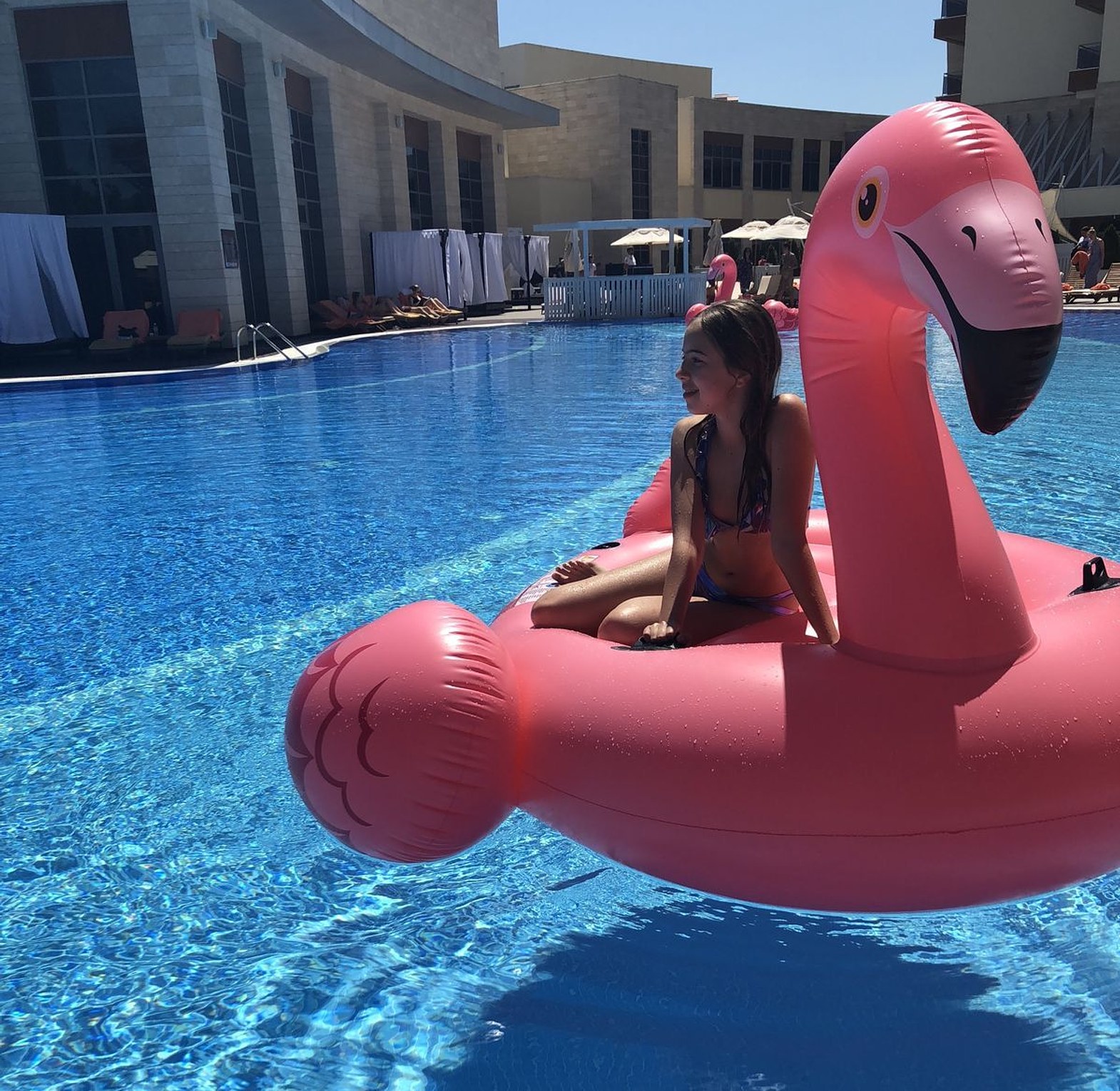 Flamingo pool image