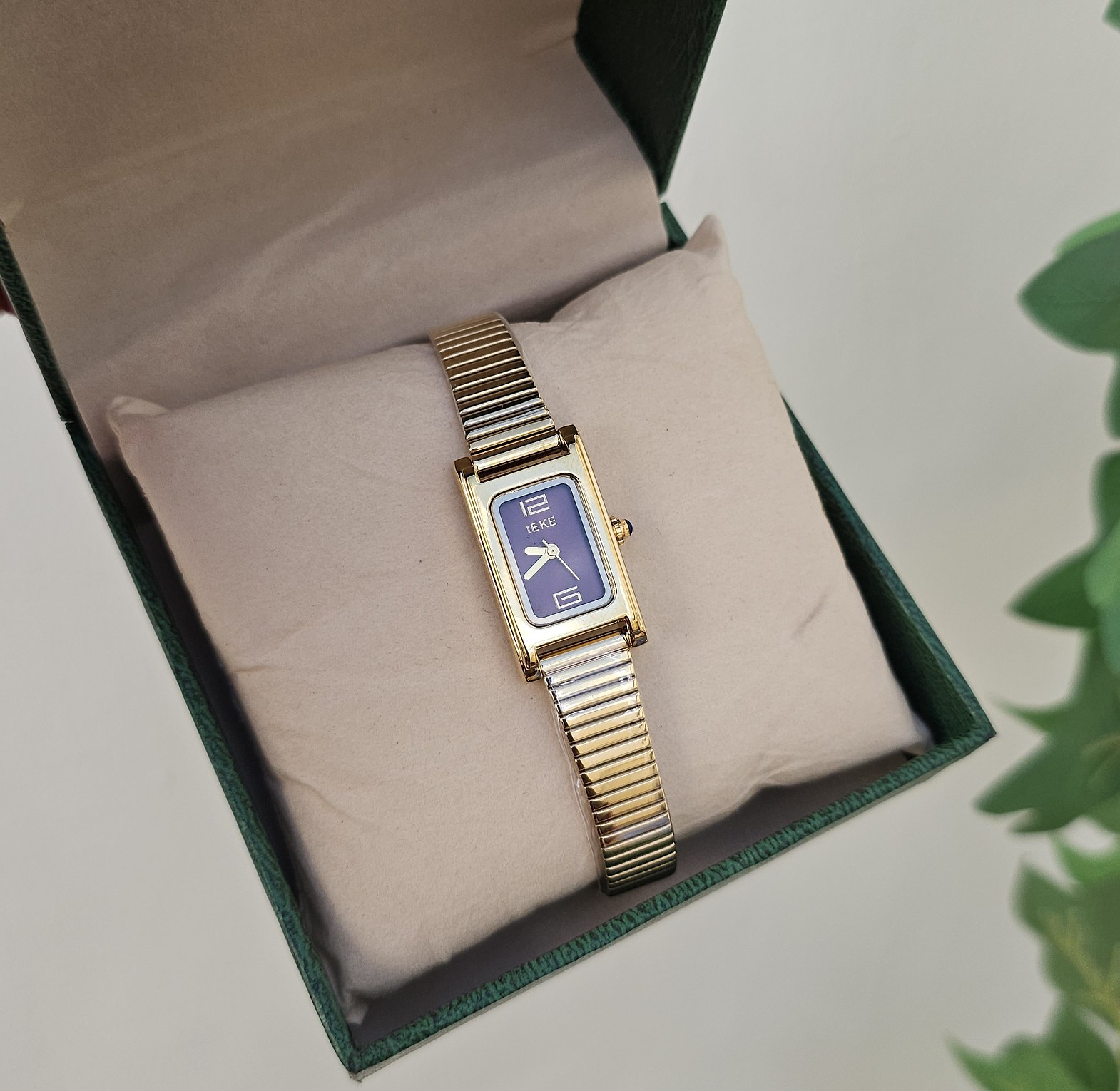 Ieke classic watch  image