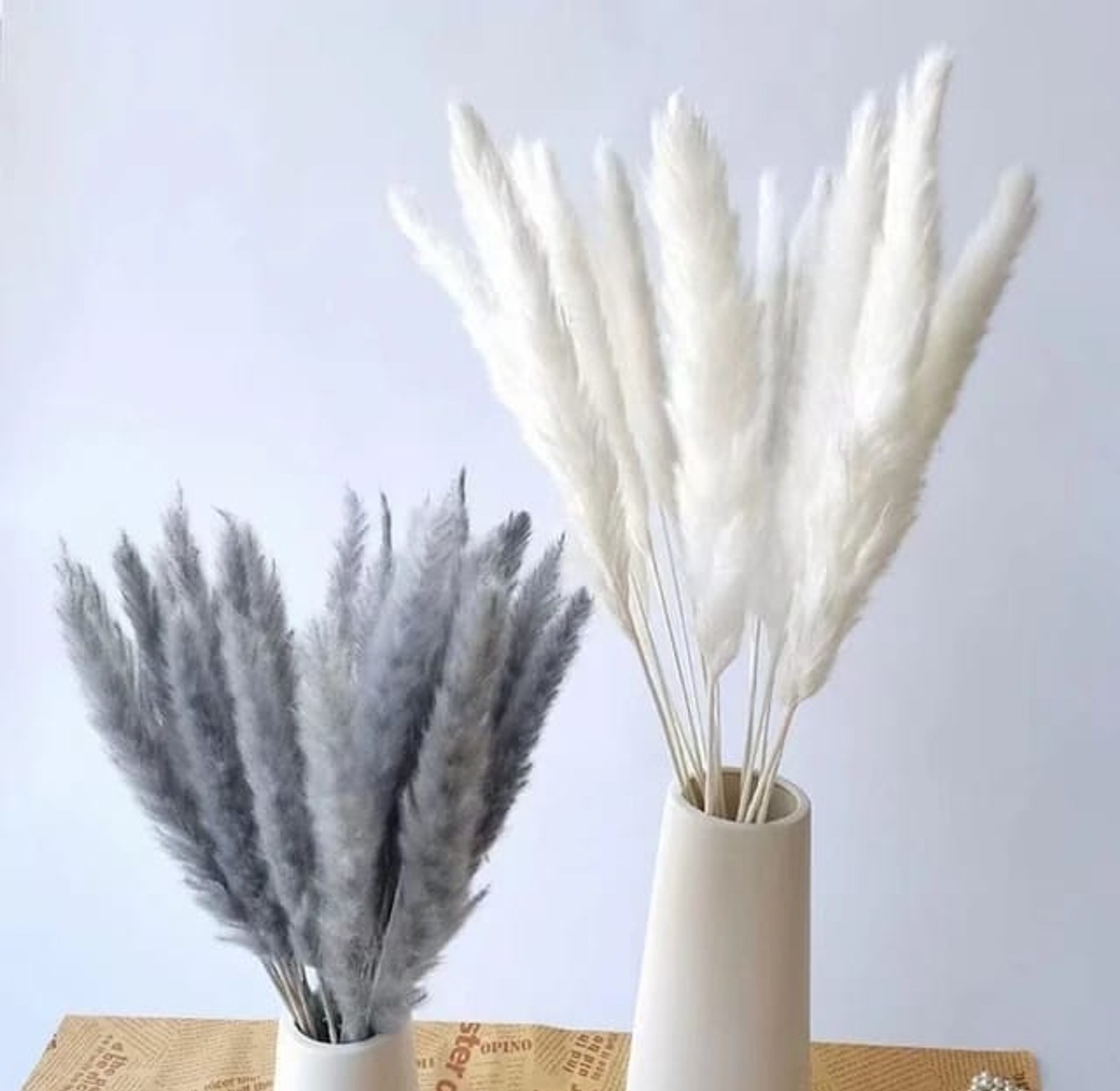 *15pc Natural Dried Flowers Pampas grass image