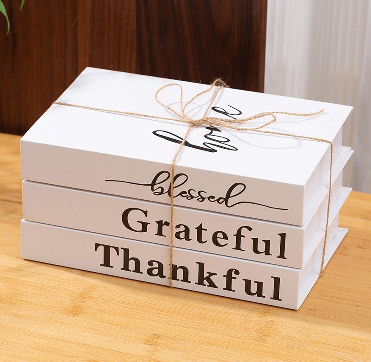 Modern Fake Books Decoration (White) image