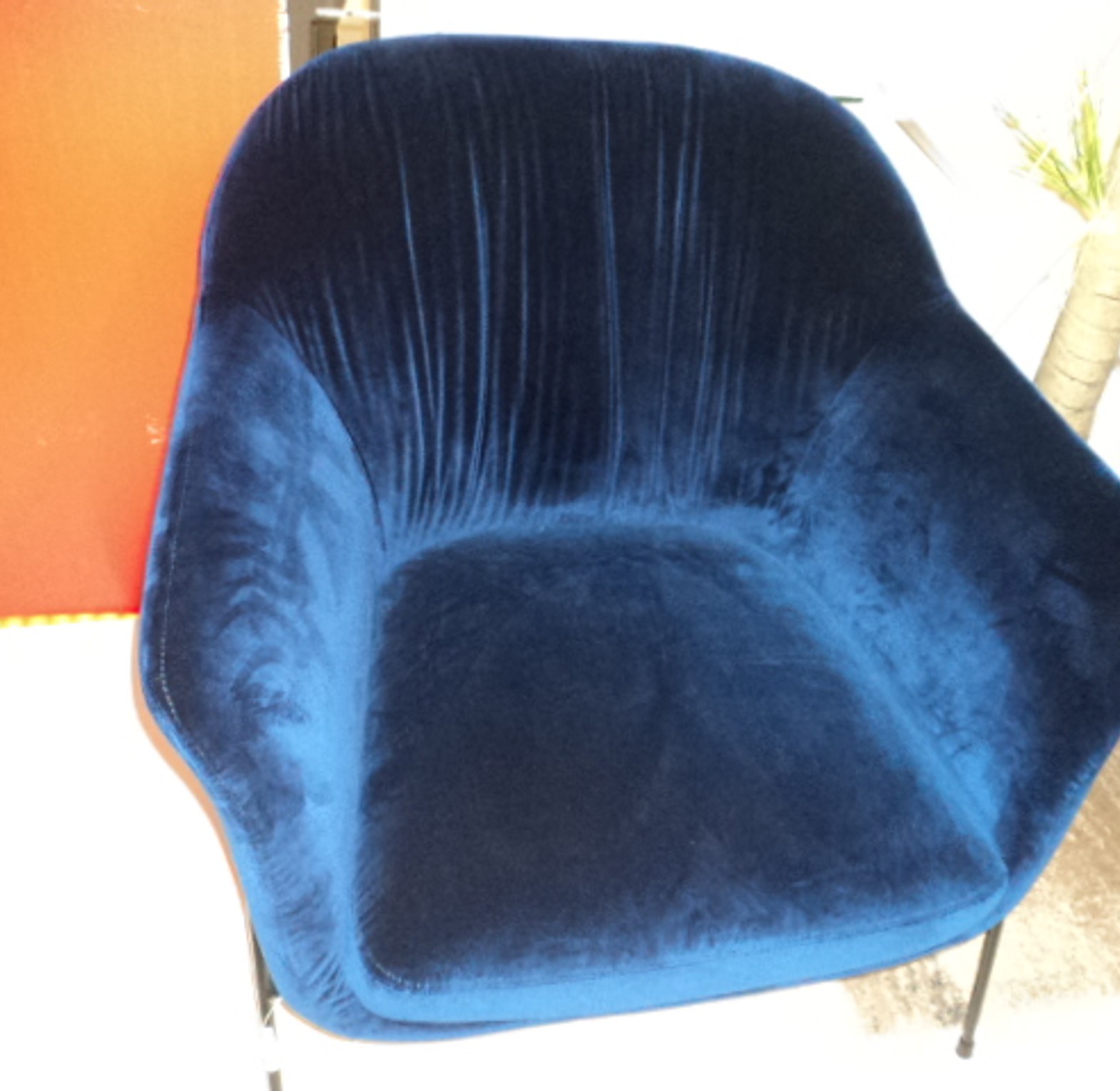 ARMCHAIR VELVET COLOR ROY image