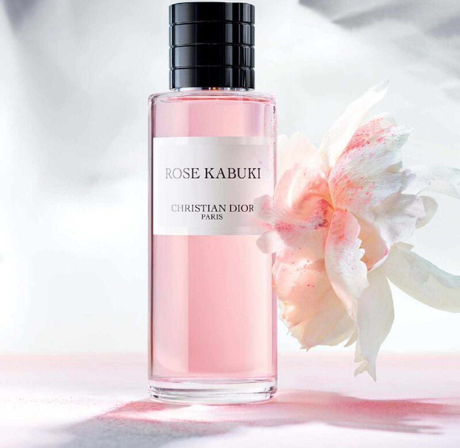 Rose Kabuki Christian Dior 125ml  image