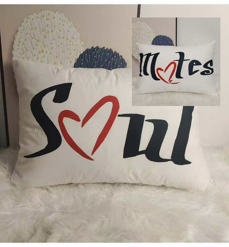 PILLOW CASES.  2 pillow cases/pillow covers with zip image