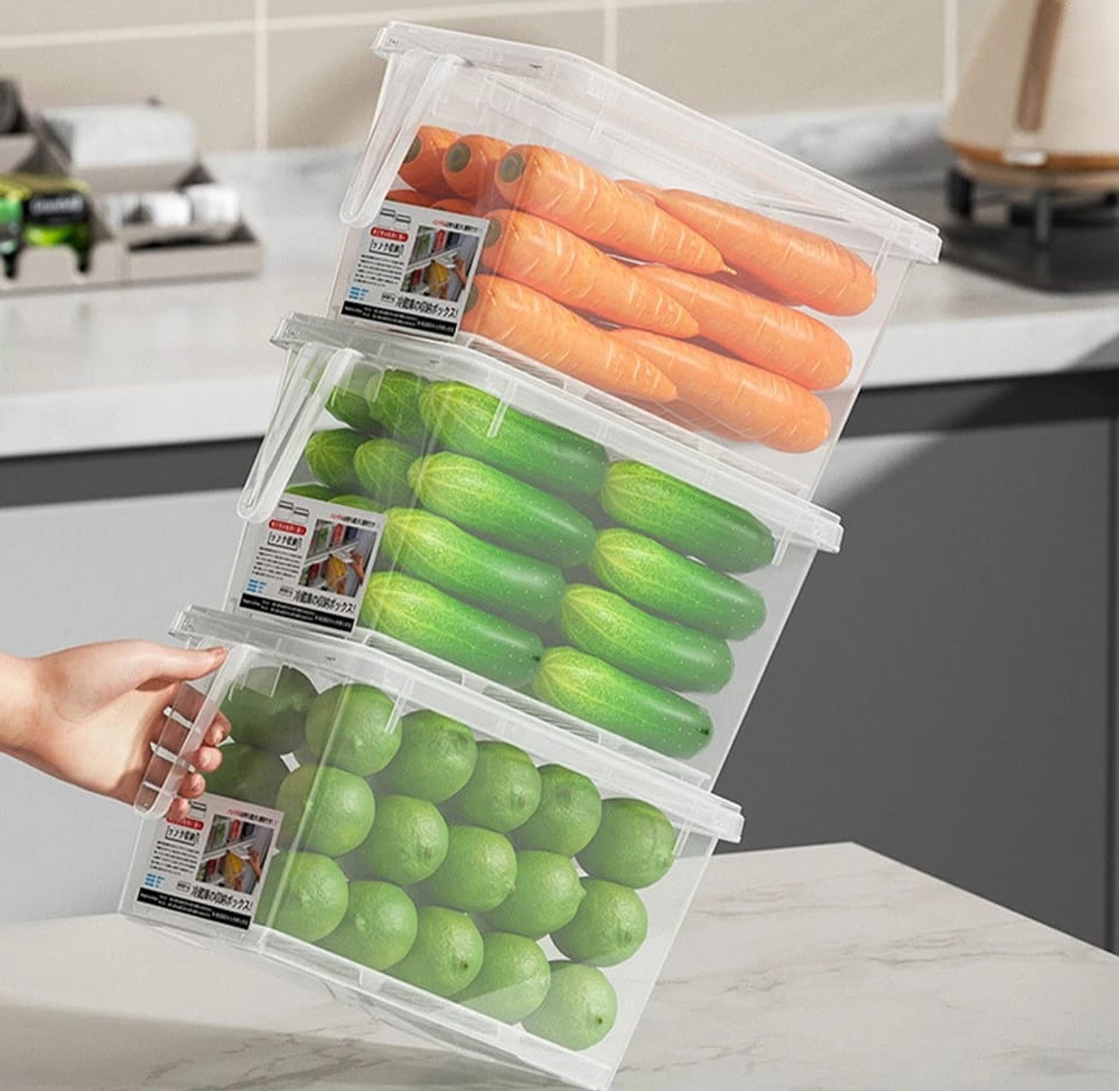 Vegetable Eggs Meat Storage Box  image