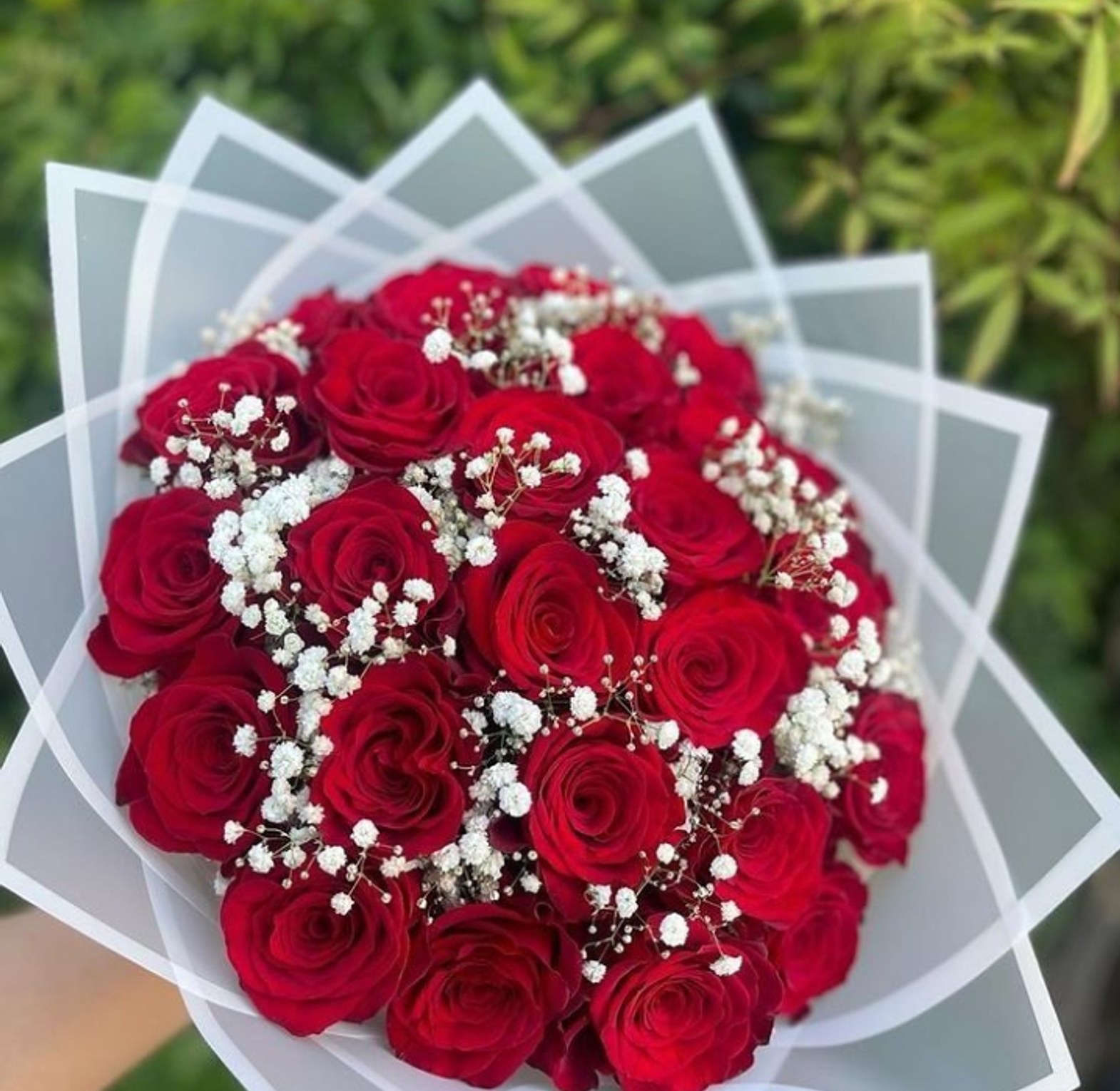 Red bouquet with white baby breathes. 25 stems image