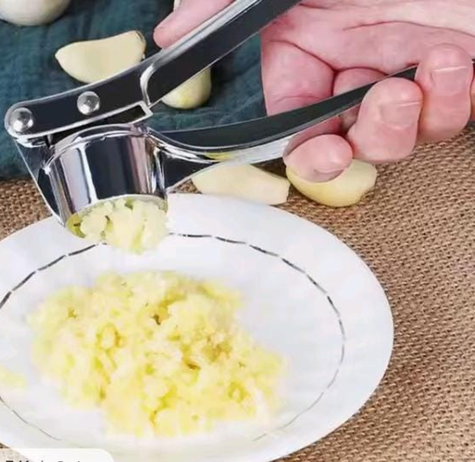 Stainless Steel Garlic Crusher, Garlic Press image